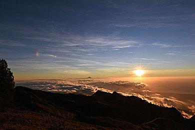 《电锯甜心RePOP》制作人分享NS版细节 采用FHD